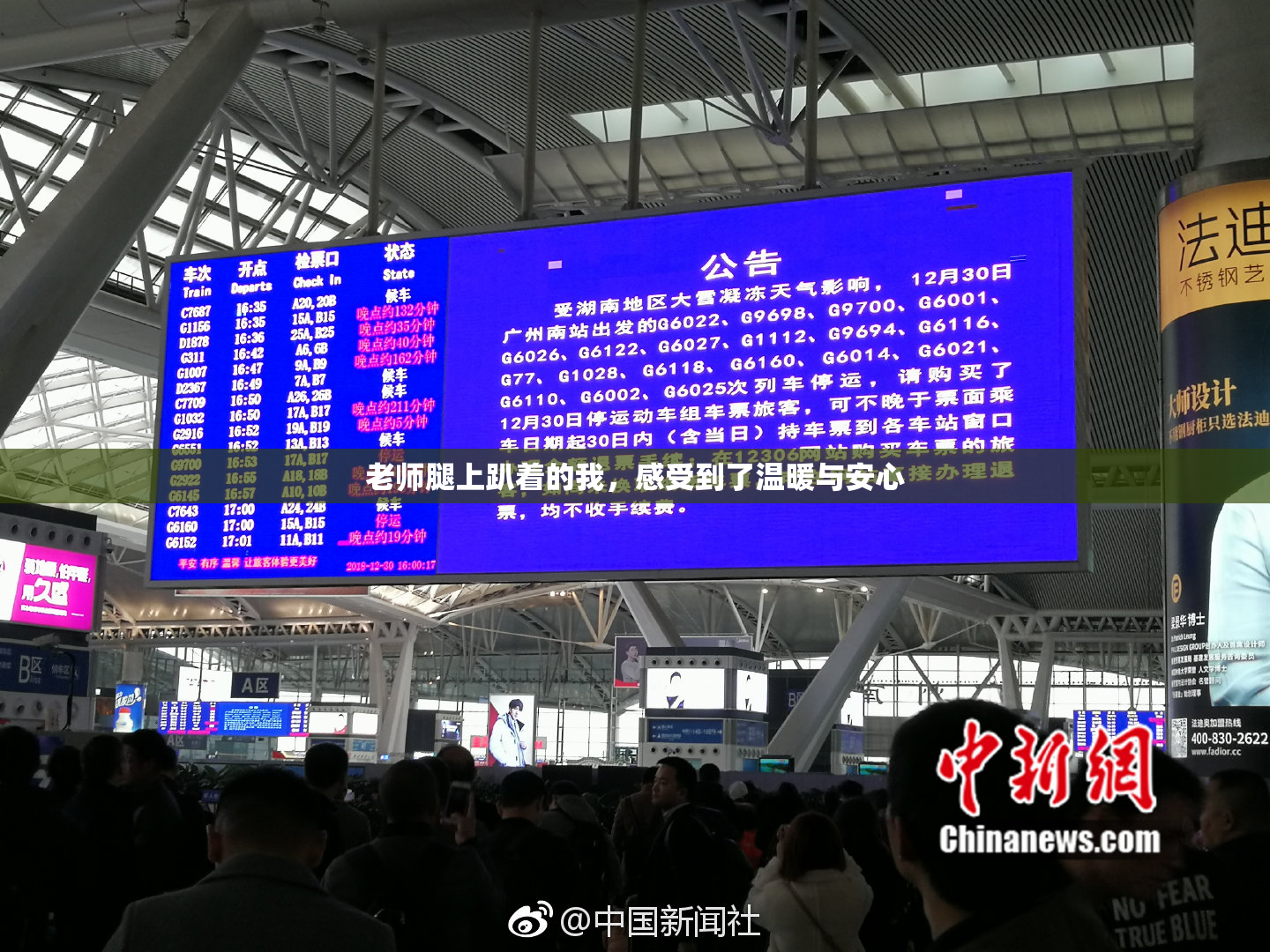 老师腿上趴着的我，感受到了温暖与安心