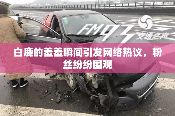 白鹿的羞羞瞬间引发网络热议，粉丝纷纷围观