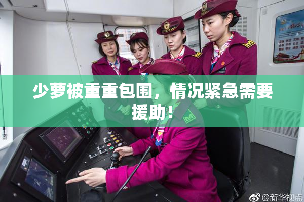 少萝被重重包围，情况紧急需要援助！