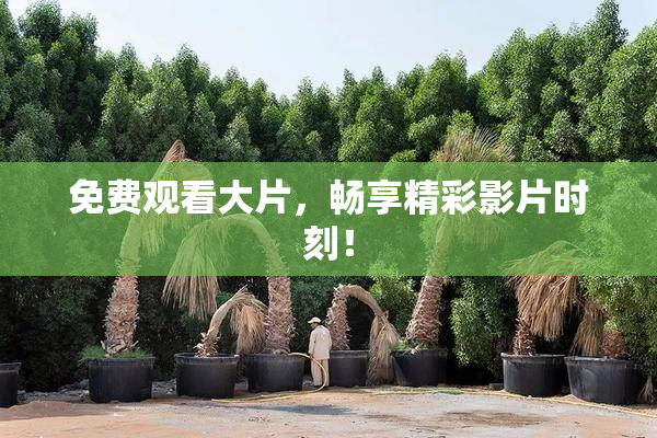 免费观看大片，畅享精彩影片时刻！