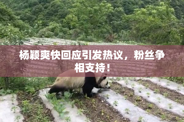 杨颖爽快回应引发热议，粉丝争相支持！