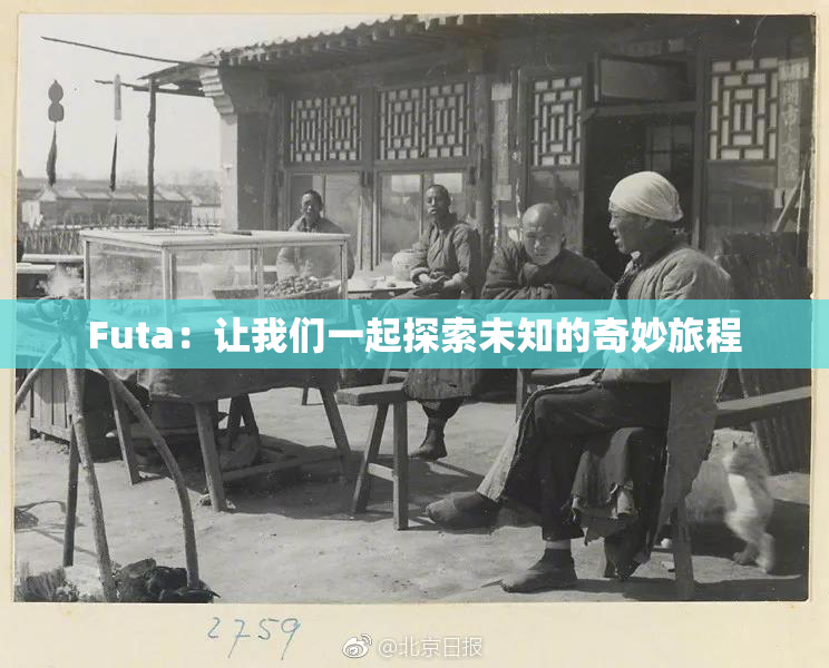 Futa：让我们一起探索未知的奇妙旅程