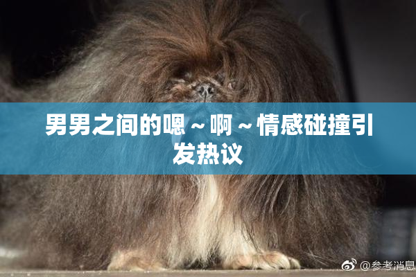 男男之间的嗯～啊～情感碰撞引发热议