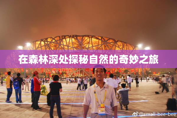 在森林深处探秘自然的奇妙之旅