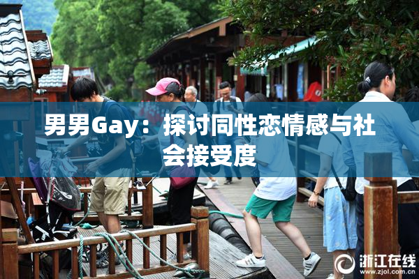 男男Gay：探讨同性恋情感与社会接受度