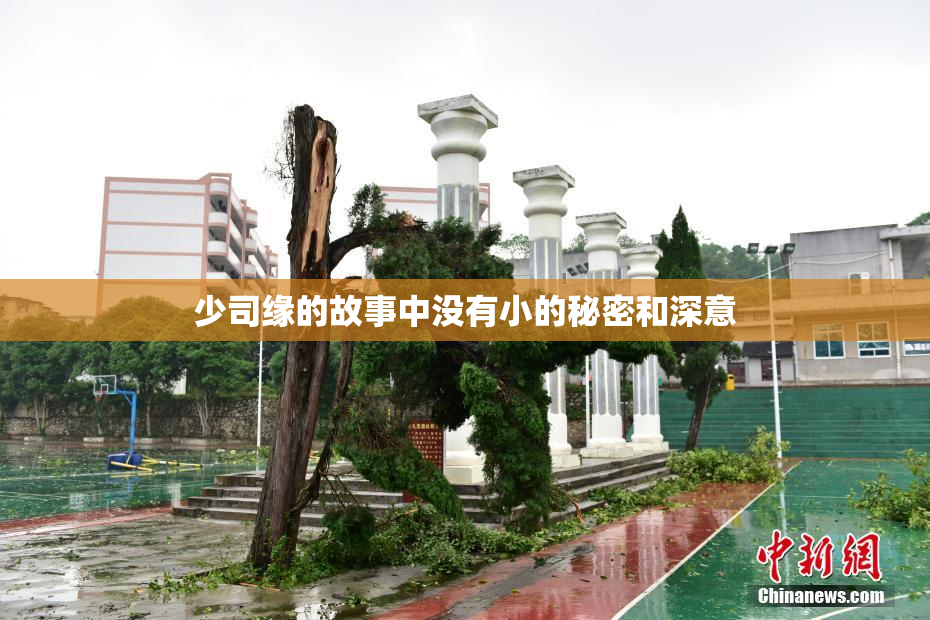 少司缘的故事中没有小的秘密和深意