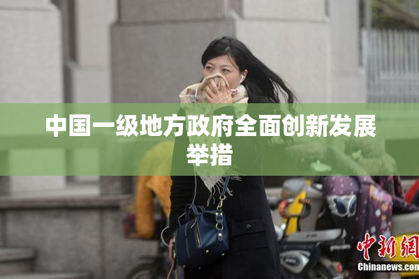 中国一级地方政府全面创新发展举措