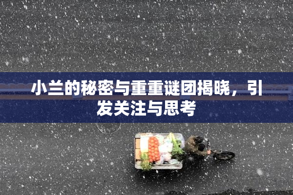 小兰的秘密与重重谜团揭晓，引发关注与思考