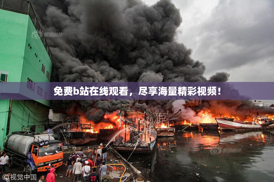 免费b站在线观看，尽享海量精彩视频！