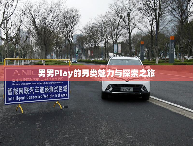 男男Play的另类魅力与探索之旅