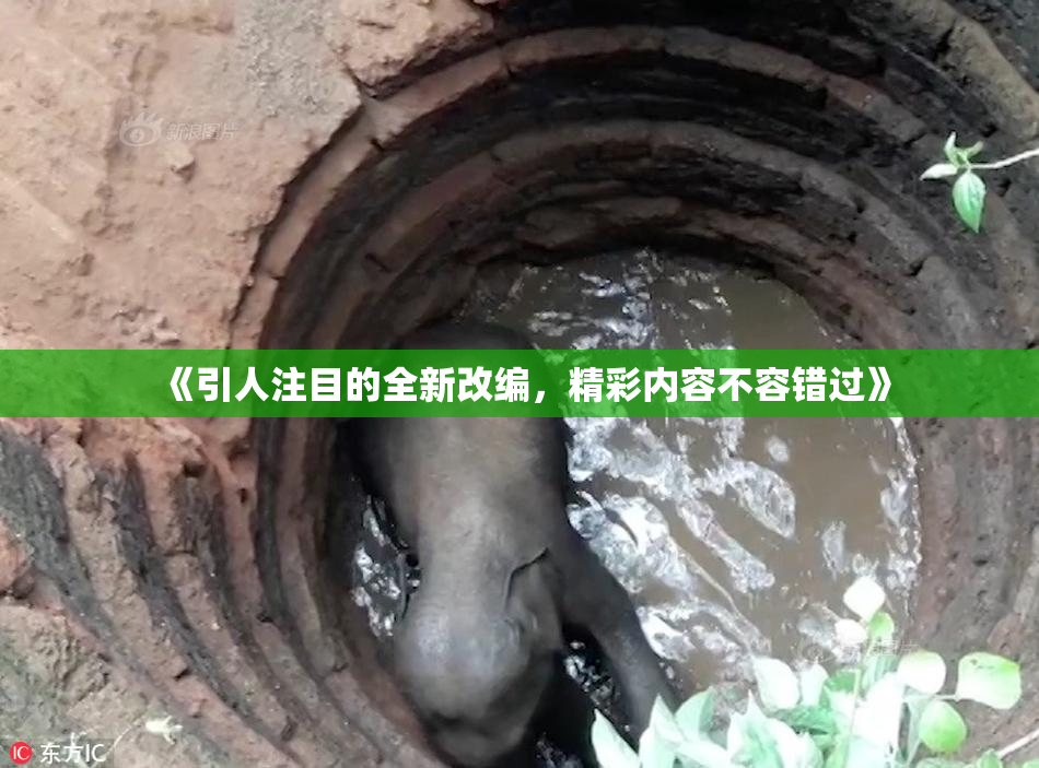 《引人注目的全新改编，精彩内容不容错过》
