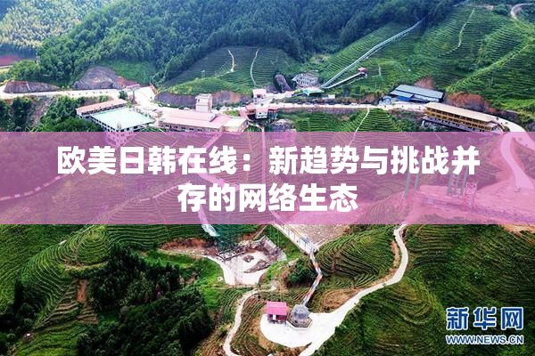 欧美日韩在线：新趋势与挑战并存的网络生态