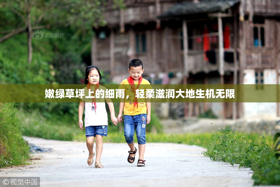 嫩绿草坪上的细雨，轻柔滋润大地生机无限