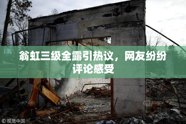 翁虹三级全露引热议，网友纷纷评论感受