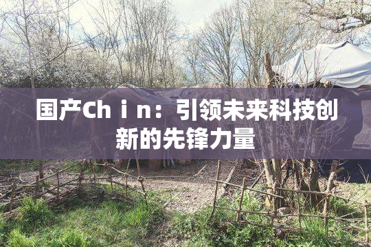 国产Chⅰn：引领未来科技创新的先锋力量