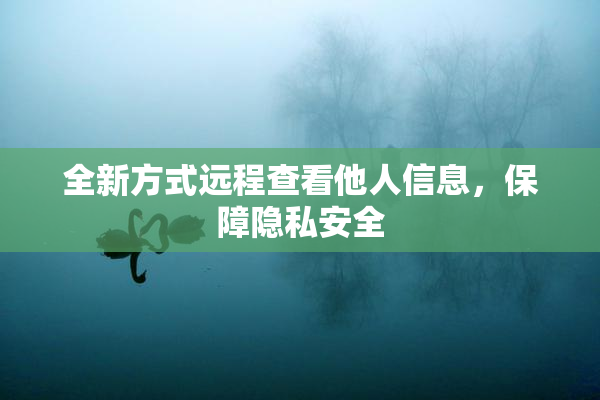 全新方式远程查看他人信息，保障隐私安全