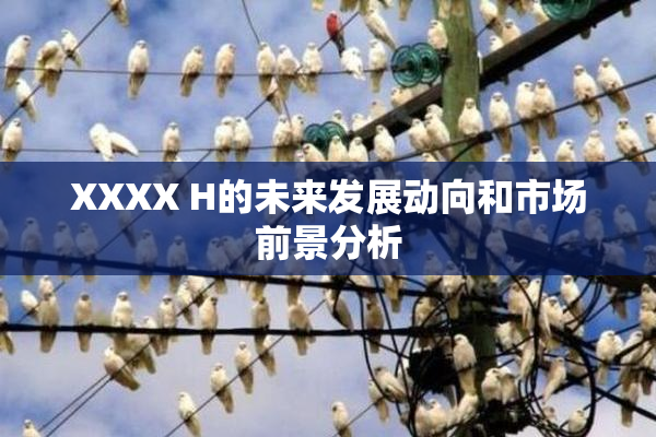 XXXX H的未来发展动向和市场前景分析