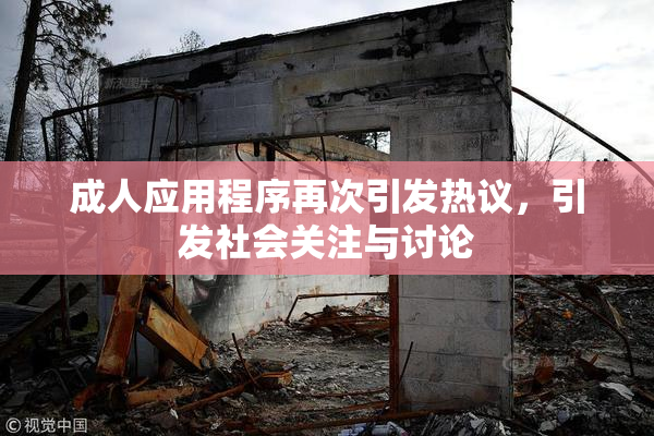 成人应用程序再次引发热议，引发社会关注与讨论