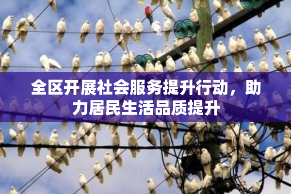 全区开展社会服务提升行动，助力居民生活品质提升