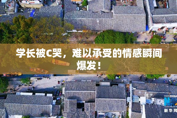 学长被C哭，难以承受的情感瞬间爆发！