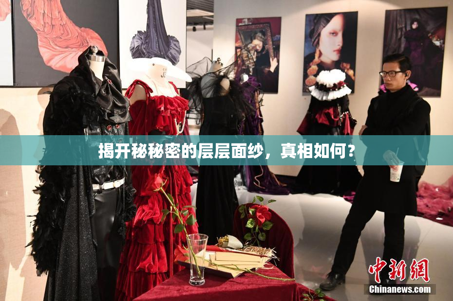 揭开秘秘密的层层面纱，真相如何？