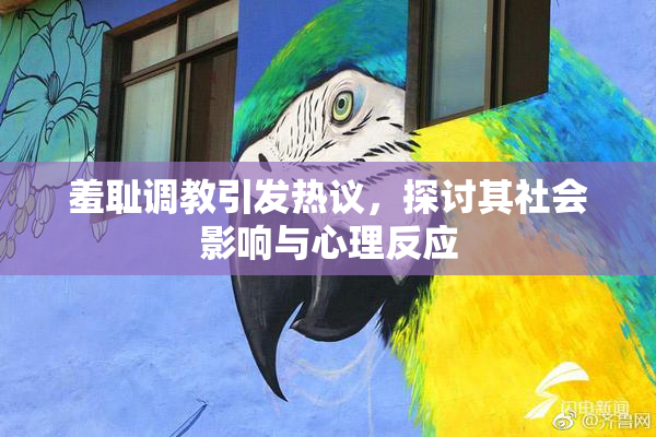 羞耻调教引发热议，探讨其社会影响与心理反应