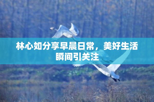 林心如分享早晨日常，美好生活瞬间引关注