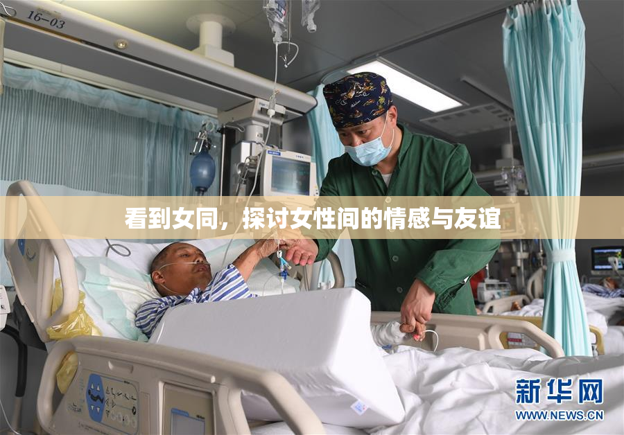看到女同，探讨女性间的情感与友谊