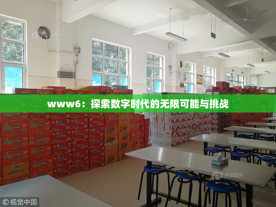 www6：探索数字时代的无限可能与挑战