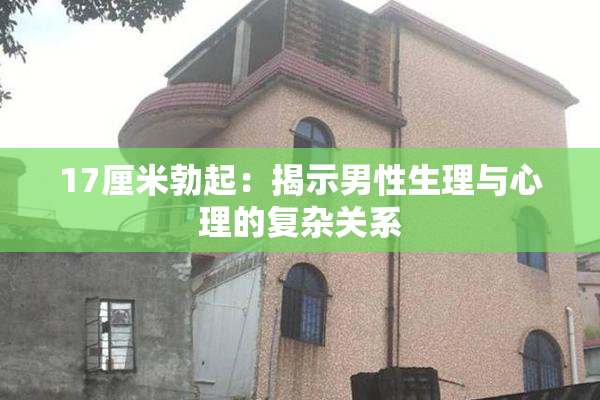 17厘米勃起：揭示男性生理与心理的复杂关系