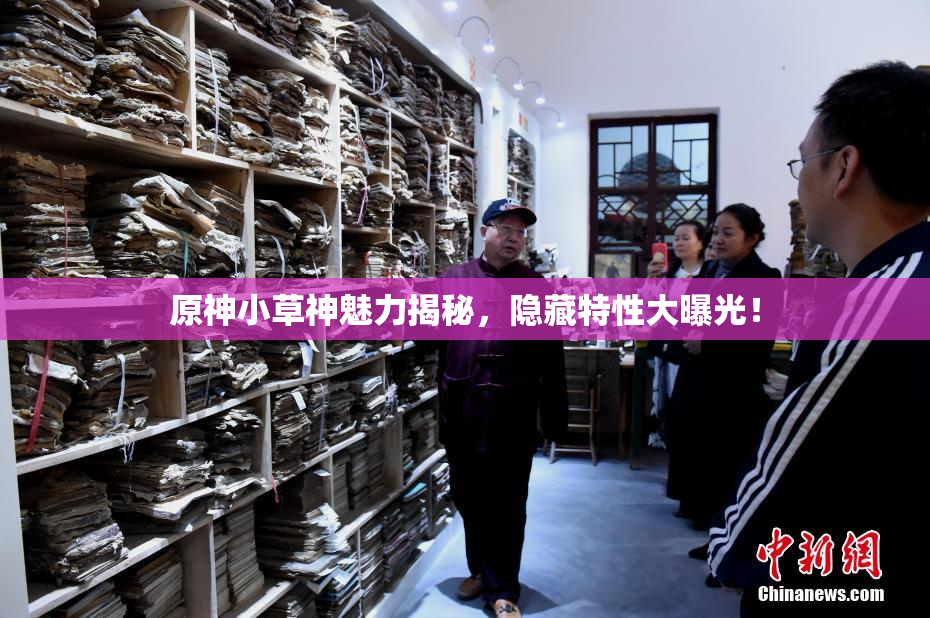 原神小草神魅力揭秘，隐藏特性大曝光！
