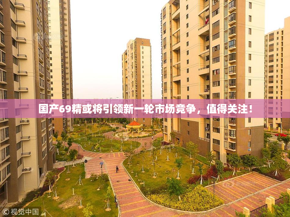 国产69精或将引领新一轮市场竞争，值得关注！