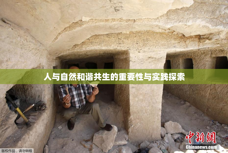 人与自然和谐共生的重要性与实践探索
