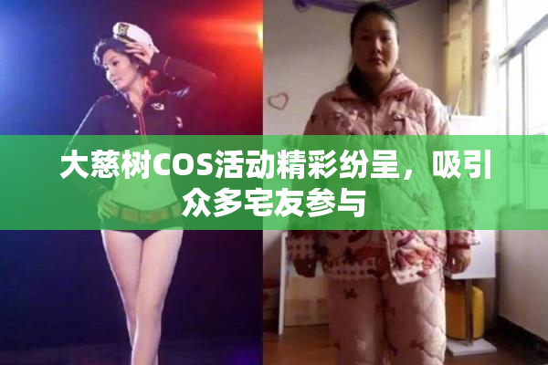 大慈树COS活动精彩纷呈，吸引众多宅友参与