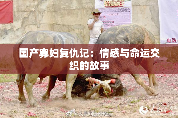 国产寡妇复仇记：情感与命运交织的故事
