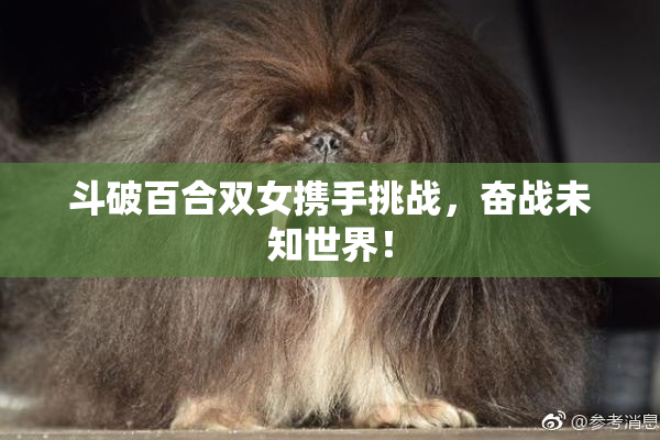 斗破百合双女携手挑战，奋战未知世界！