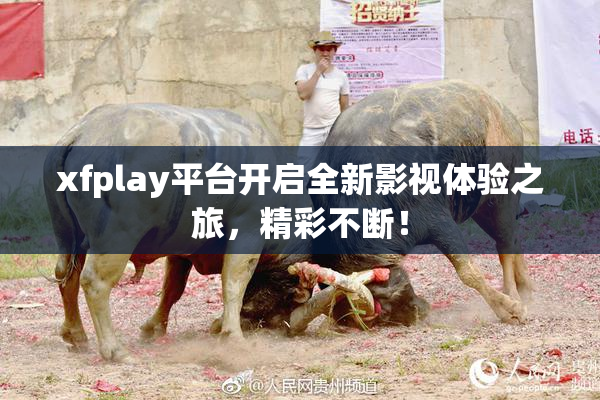 xfplay平台开启全新影视体验之旅，精彩不断！