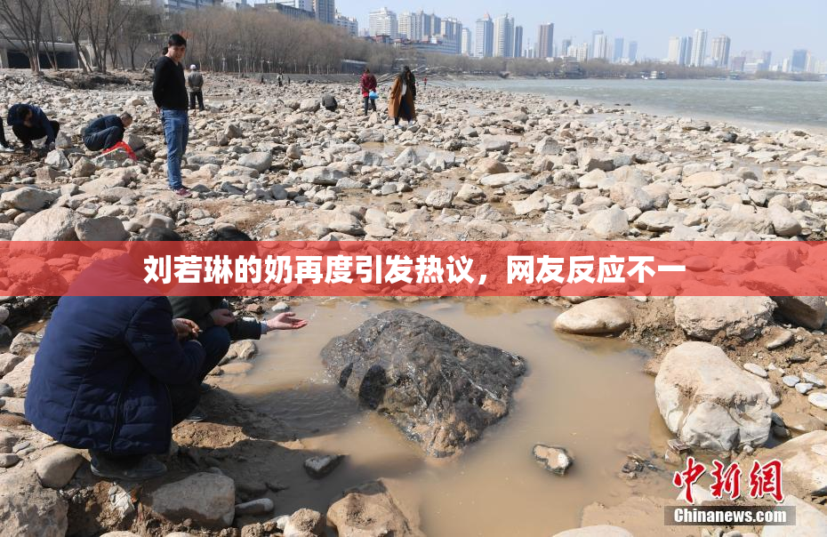 刘若琳的奶再度引发热议，网友反应不一