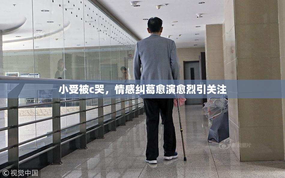 小受被c哭，情感纠葛愈演愈烈引关注