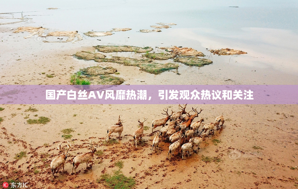 国产白丝AV风靡热潮，引发观众热议和关注