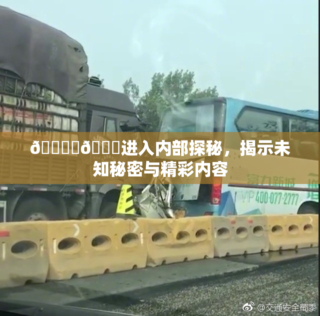 🔞‌🍌进入内部探秘，揭示未知秘密与精彩内容