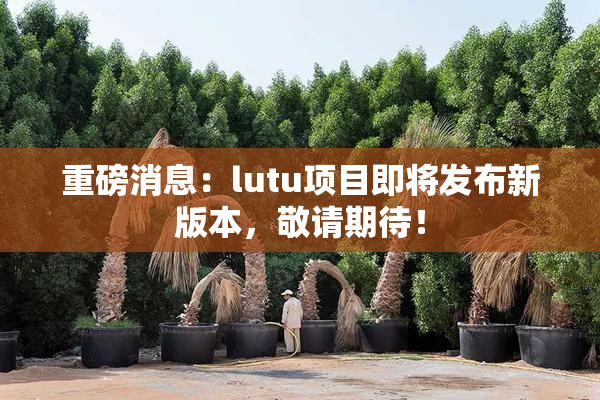 重磅消息：lutu项目即将发布新版本，敬请期待！