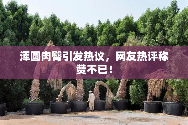 浑圆肉臀引发热议，网友热评称赞不已！