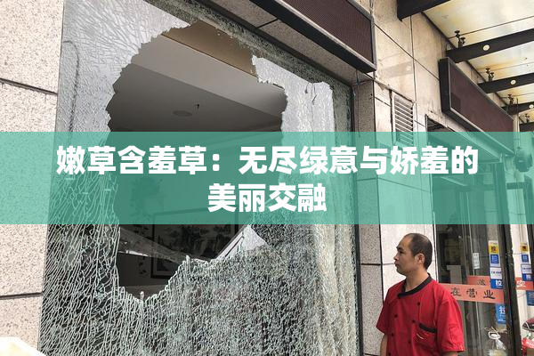 嫩草含羞草：无尽绿意与娇羞的美丽交融