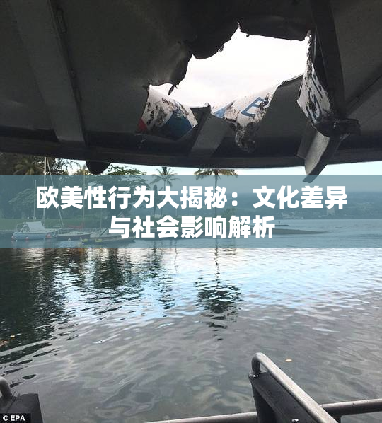 欧美性行为大揭秘：文化差异与社会影响解析