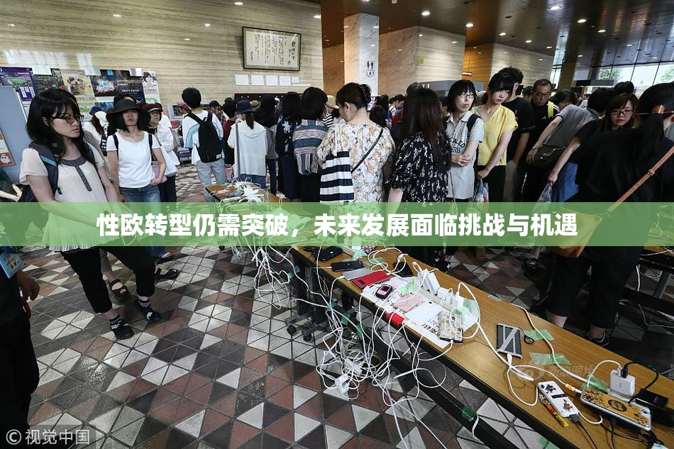 性欧转型仍需突破，未来发展面临挑战与机遇