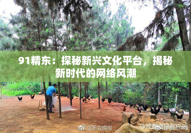 91精东：探秘新兴文化平台，揭秘新时代的网络风潮