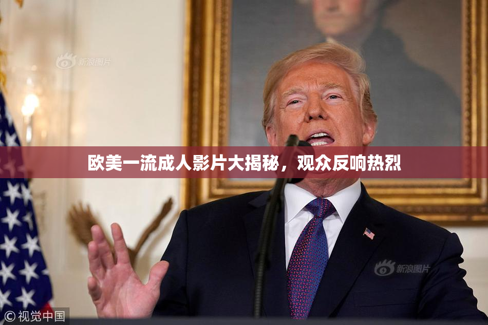 欧美一流成人影片大揭秘，观众反响热烈
