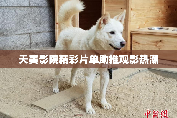 天美影院精彩片单助推观影热潮