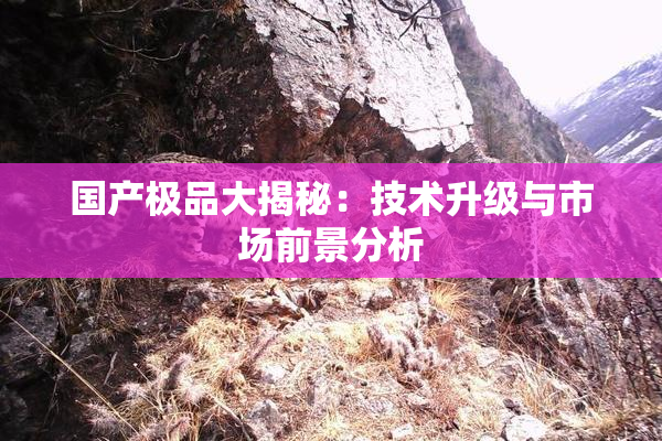 国产极品大揭秘：技术升级与市场前景分析